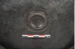 Foto von Bronzebreitrandfußschale (NHMW-PRAE-025275)